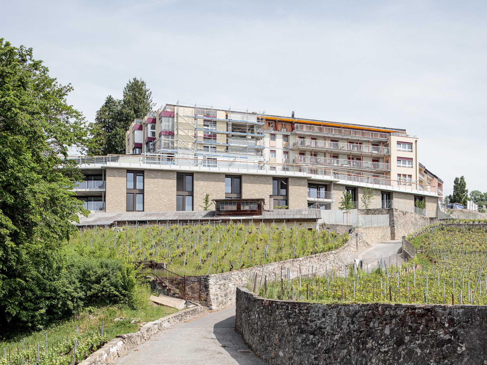 Transformation, rénovation et agrandissement de l’EMS la Colline, Chexbres