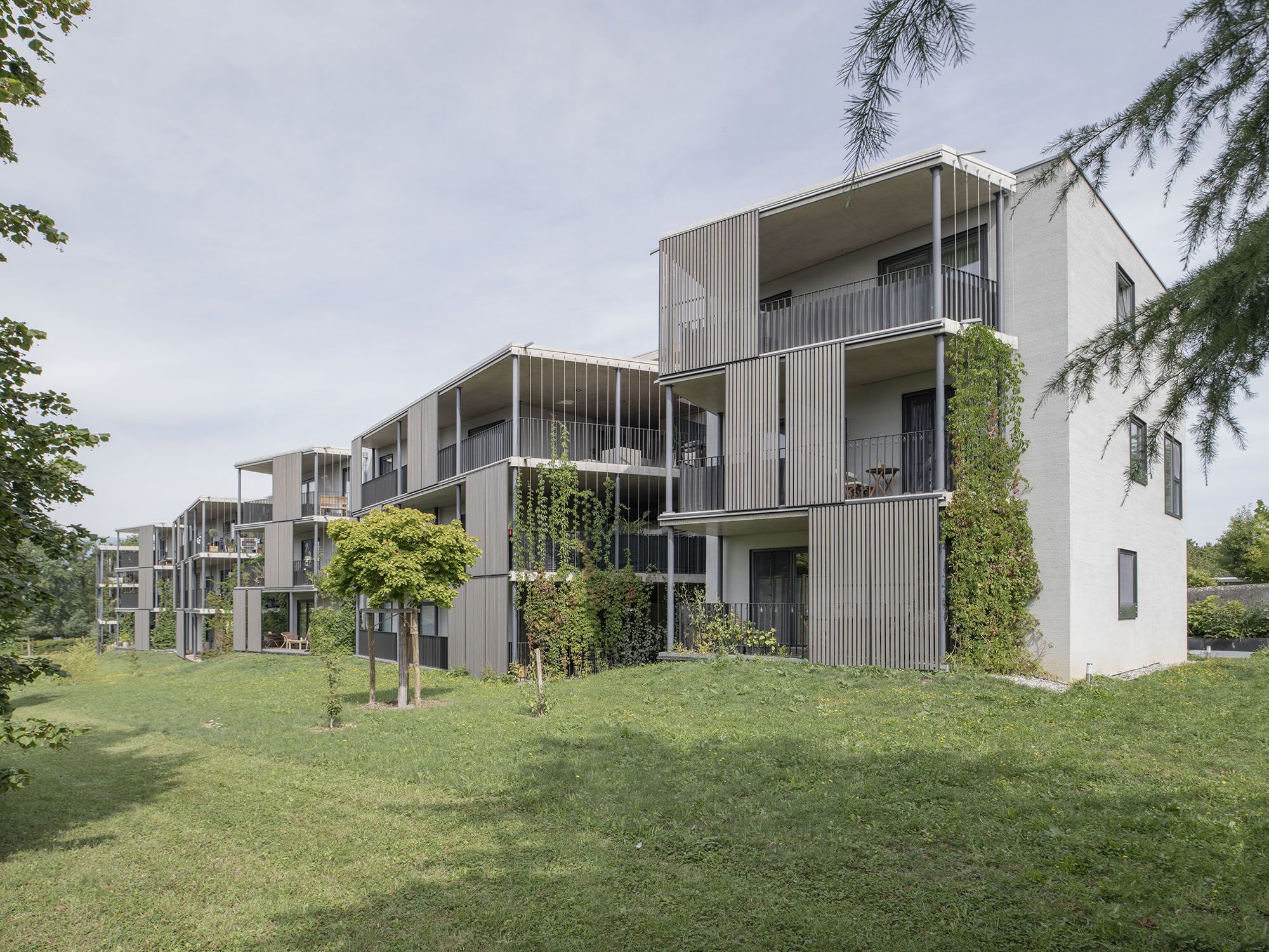 Réalisation de logements, Les Grandes Guenandes, Pregny-Chambésy