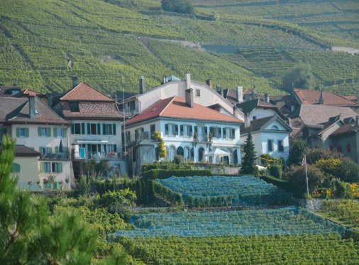 Transformation, rénovation du bâtiment « Watteville », Bourg-en-Lavaux