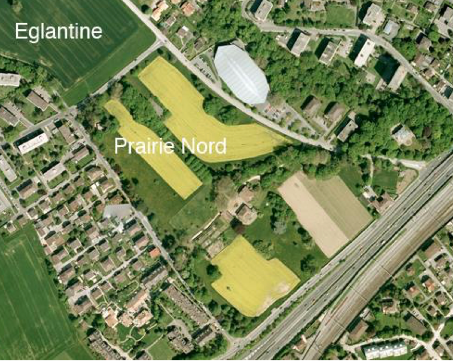 Réalisation du PPA Prairie-Nord-Églantine, Morges